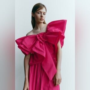 Zara Pink Ruffle One Sleeve Top